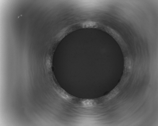 X0000070860761200606302045