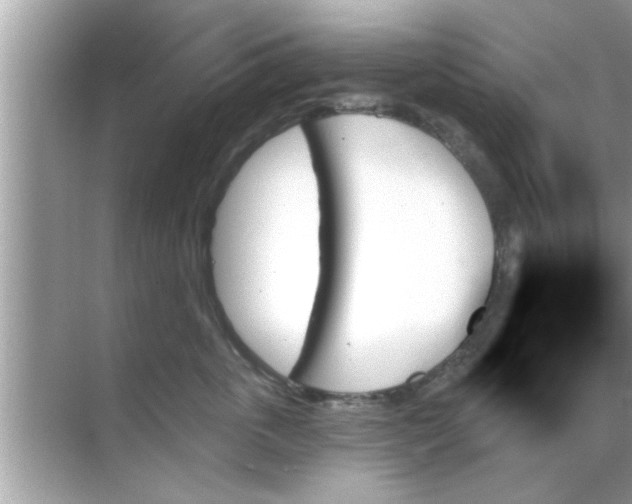 X0000070860763200606302046