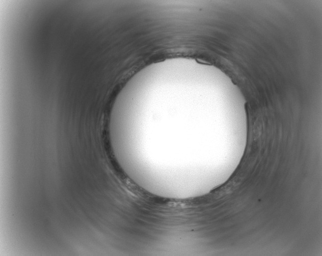 X0000070860764200606302046