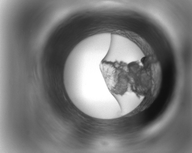 X0000070860765200606302046