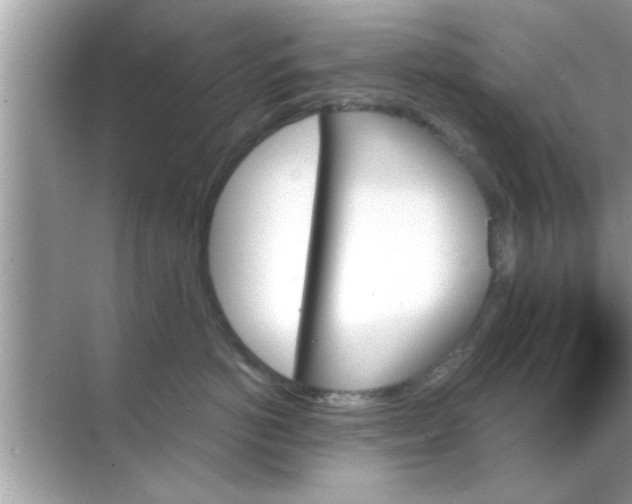 X0000070860766200606302046