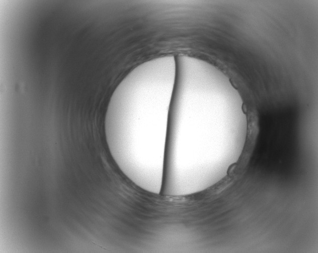 X0000070860767200606302046