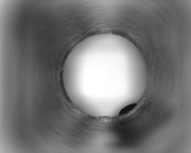 X0000070860768200606302046