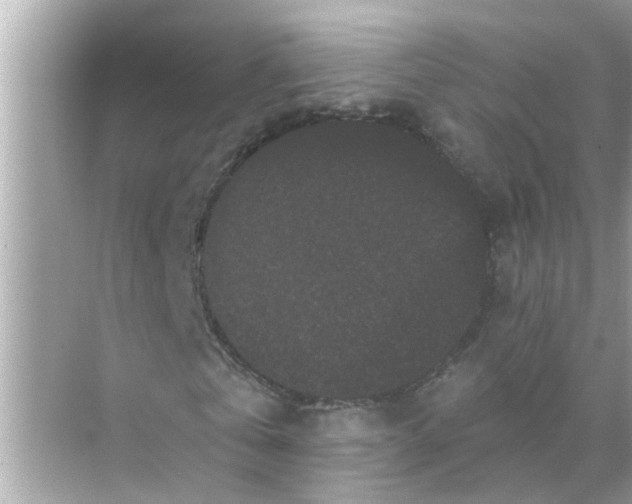 X0000070860769200606302045