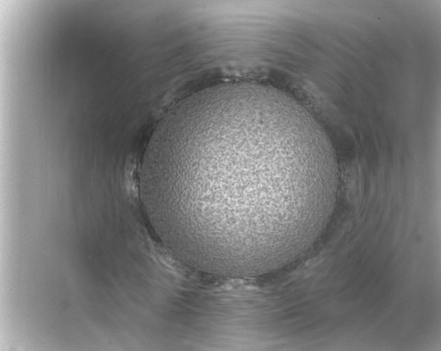 X0000070860770200606302045