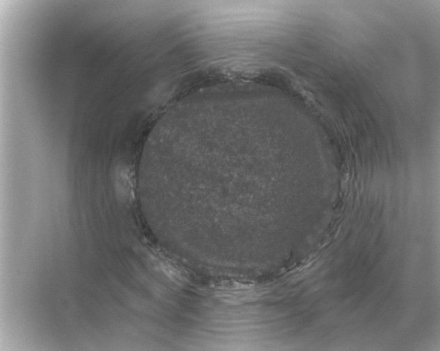 X0000070860772200606302045