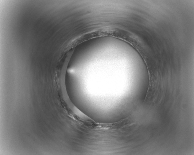 X0000070860773200606302045