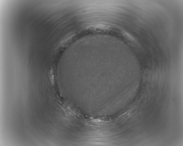 X0000070860774200606302045