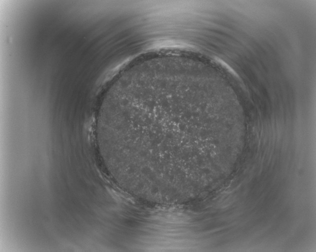 X0000070860775200606302045