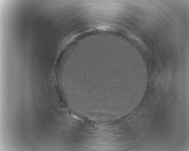 X0000070860776200606302045