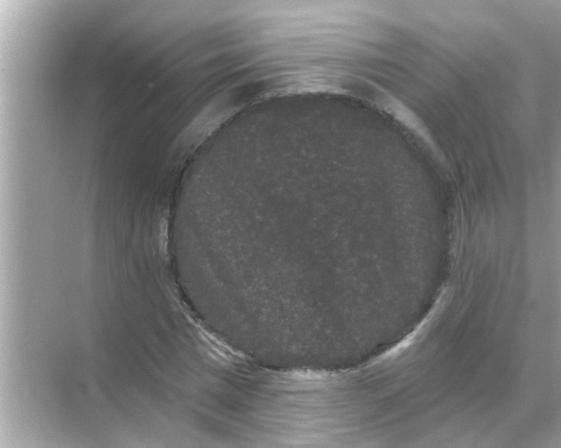 X0000070860777200606302045