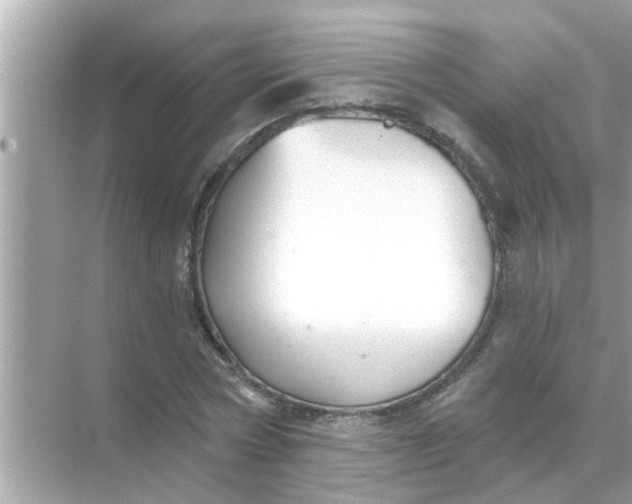 X0000070860778200606302045