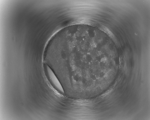 X0000070860780200606302045