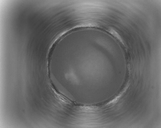 X0000070860781200606302045