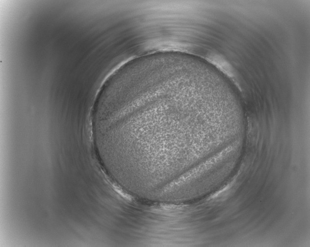 X0000070860782200606302045