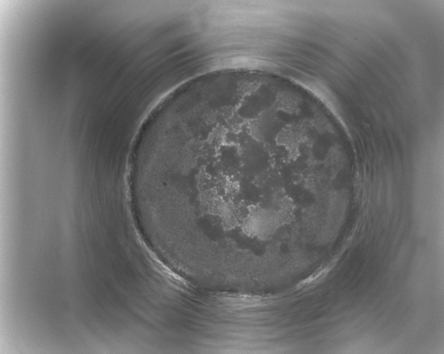 X0000070860783200606302045