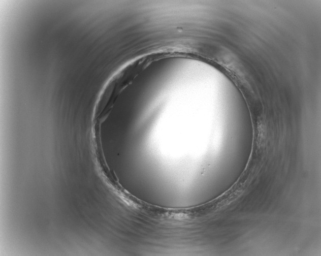 X0000070860784200606302045