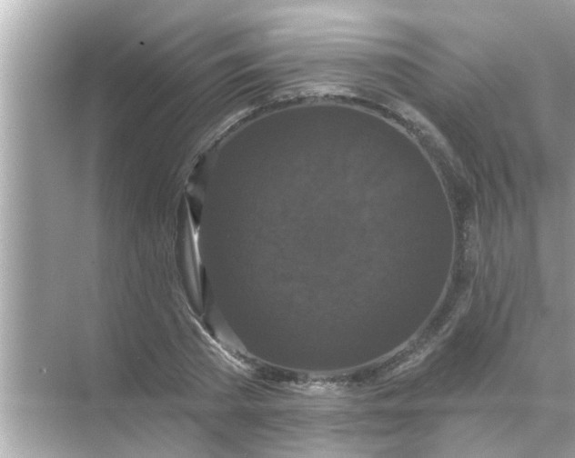 X0000070860785200606302045