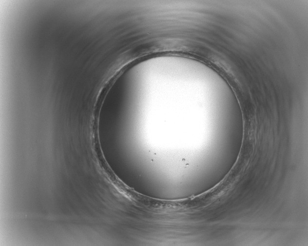 X0000070860786200606302045