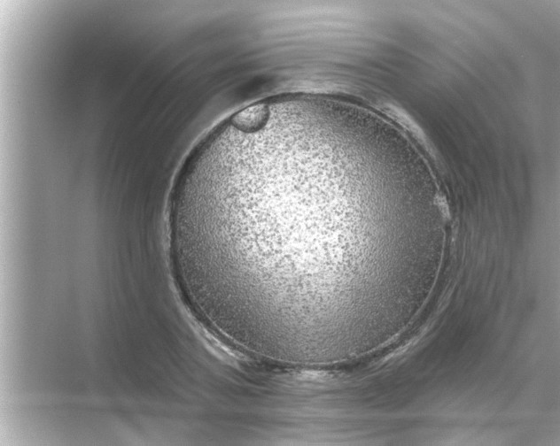 X0000070860787200606302045