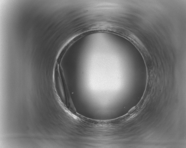 X0000070860788200606302044