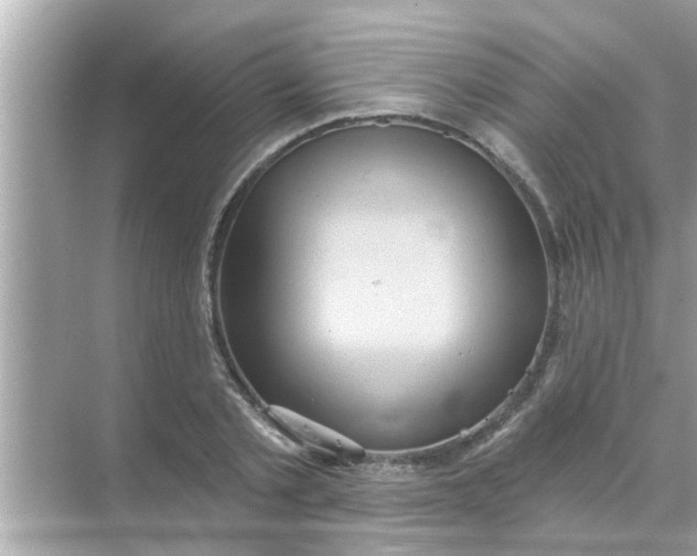 X0000070860789200606302044