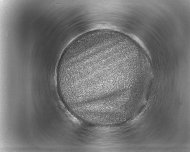 X0000070860791200606302044