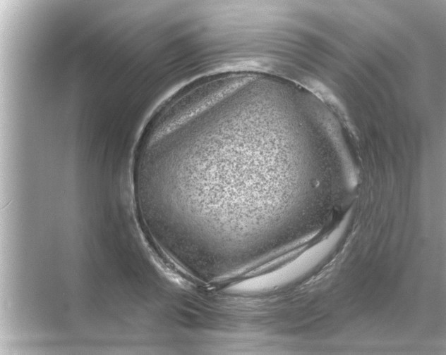 X0000070860792200606302044