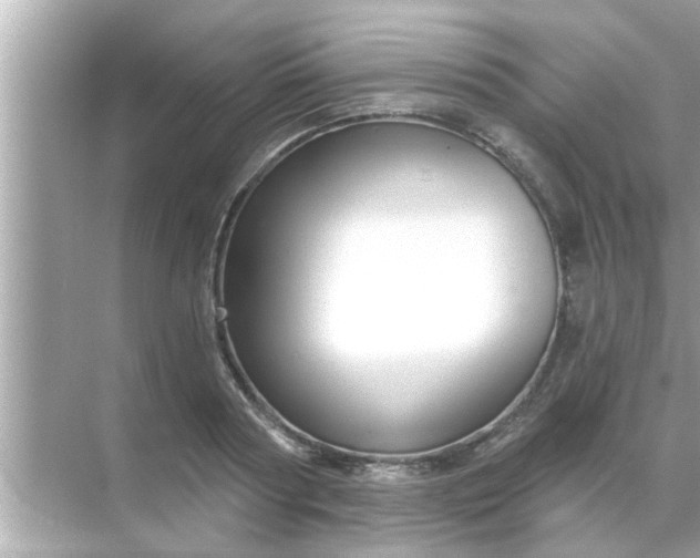 X0000070860794200606302044