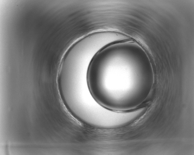 X0000070860797200606302044