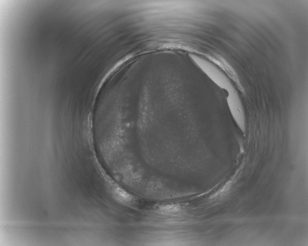 X0000070860798200606302044