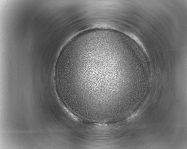 X0000070860799200606302044