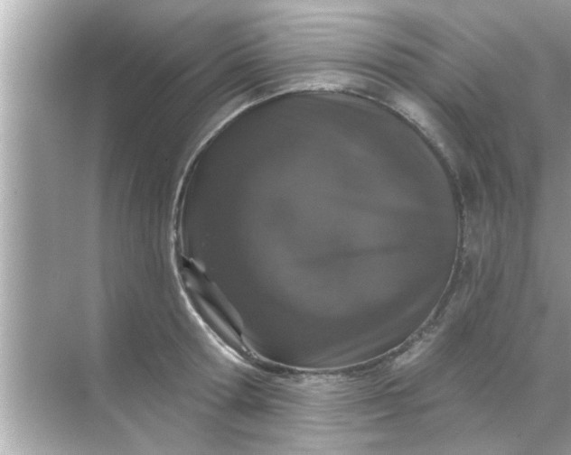 X0000070860802200606302044