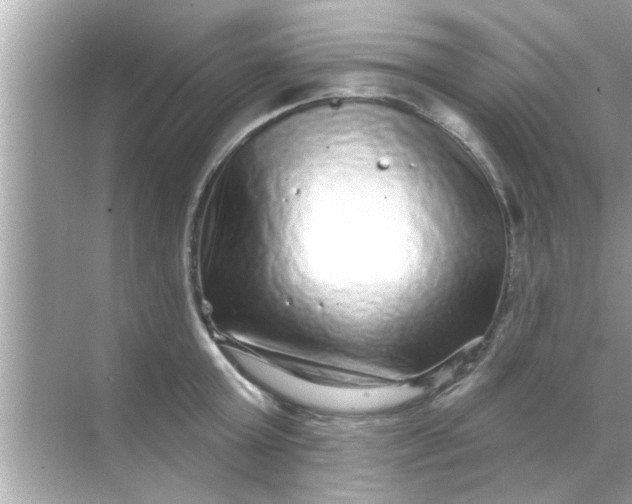 X0000070860803200606302044