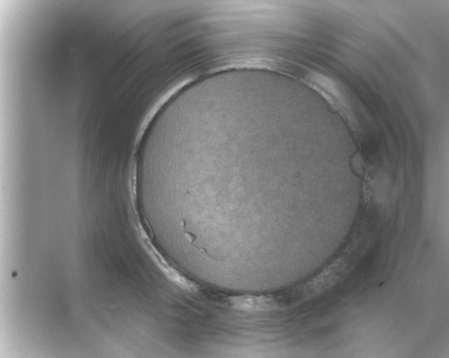 X0000070860804200606302044