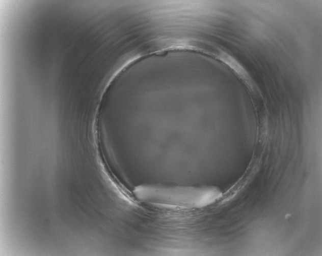 X0000070860806200606302044