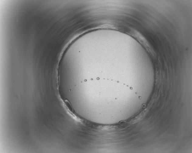 X0000070860808200606302044