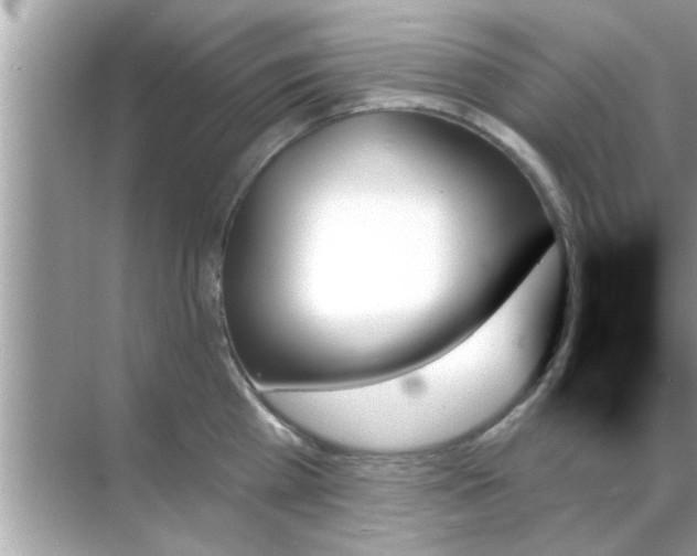 X0000070860809200606302044