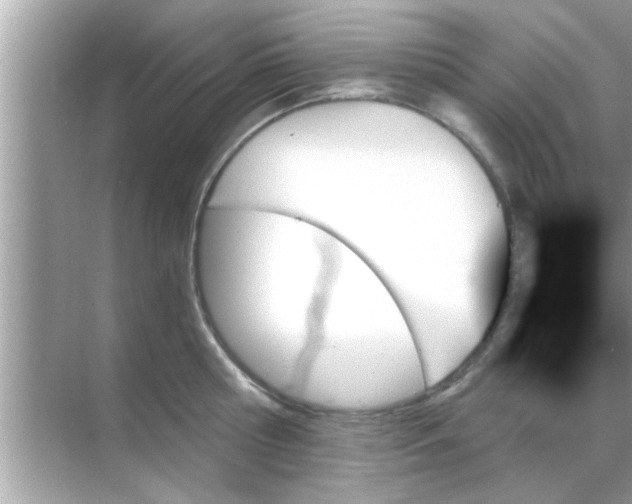 X0000070860810200606302044