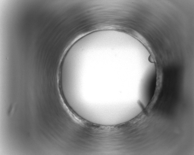 X0000070860811200606302044