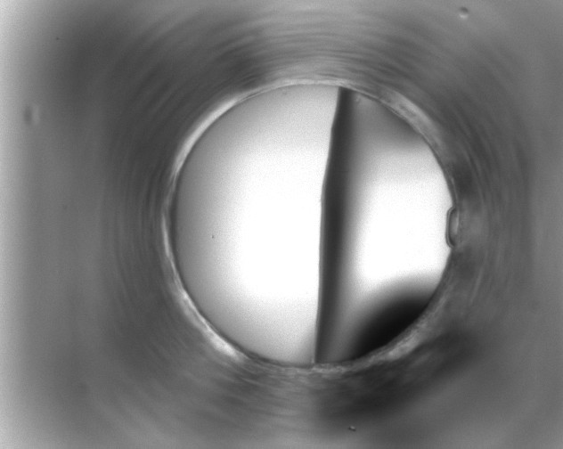 X0000070860812200606302044