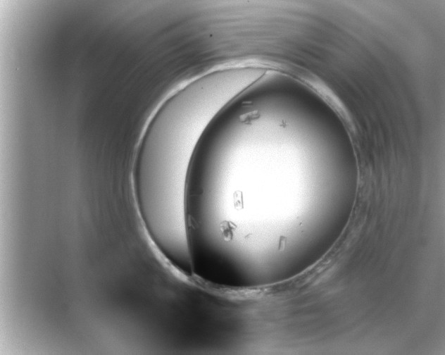 X0000070860813200606302044