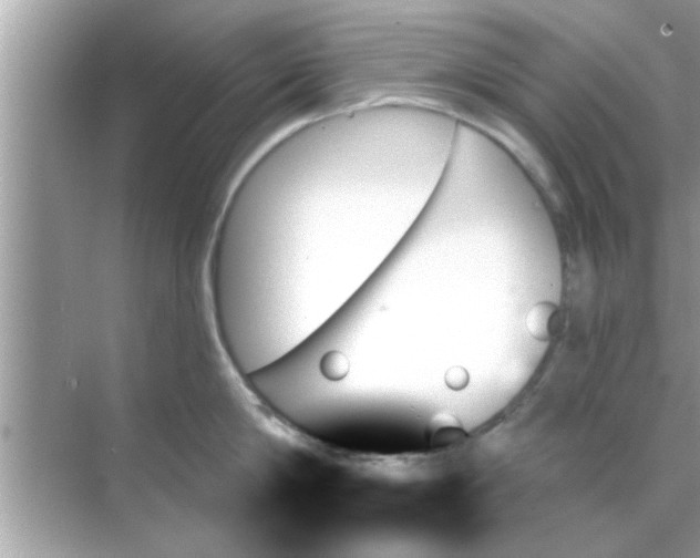 X0000070860814200606302044