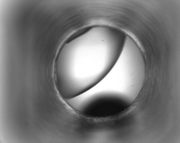 X0000070860815200606302044