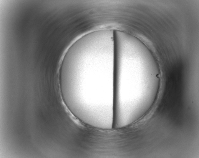 X0000070860816200606302044