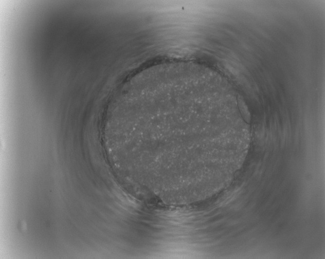 X0000070860817200606302043