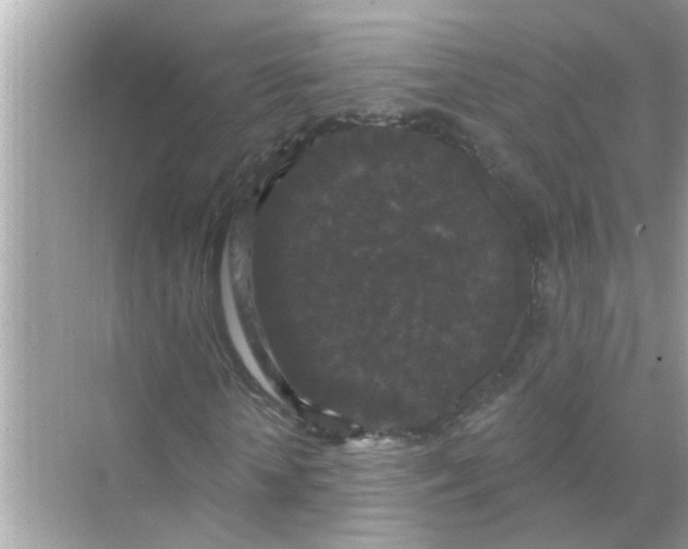 X0000070860818200606302043