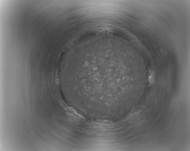 X0000070860819200606302043