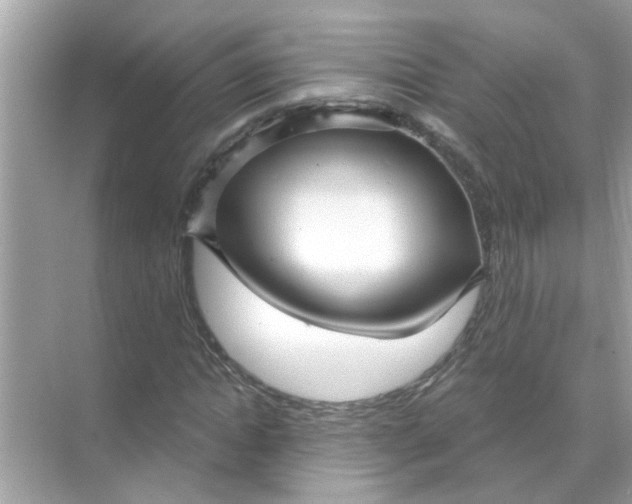 X0000070860822200606302043