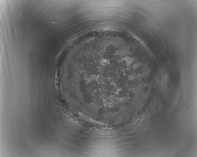 X0000070860823200606302043